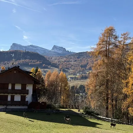 Relax E Panorama A Cortina, Accogliente A Pecol * Κορτίνα Ντ' Αμπέτσο